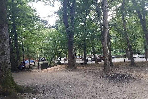 Falih Rıfkı Atay Tabiat Parkı - Resim 1