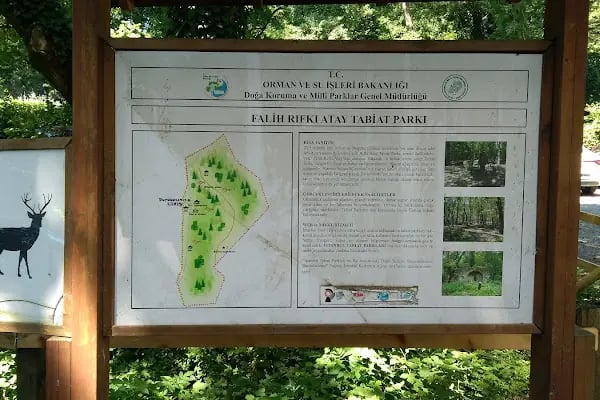 Falih Rıfkı Atay Tabiat Parkı - Resim 14
