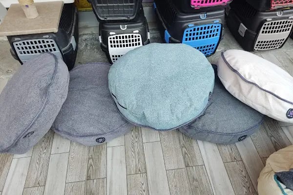 Eftelya Petshop - Resim 13