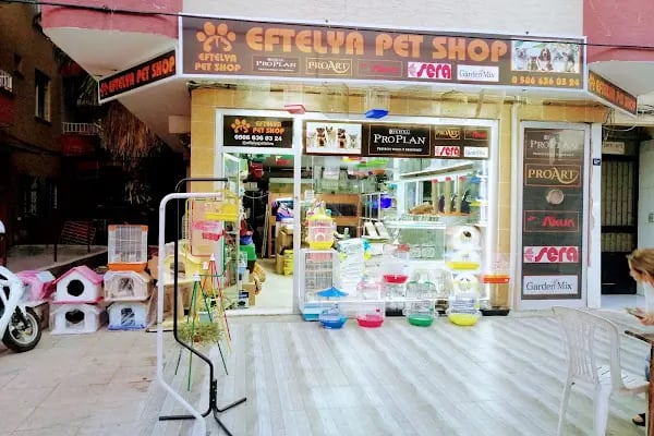 Eftelya Petshop - Resim 15