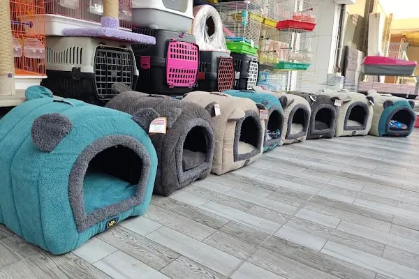 Eftelya Petshop - Resim 19