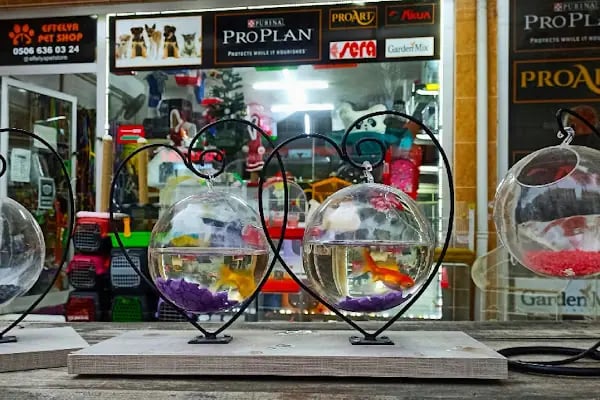 Eftelya Petshop - Resim 1