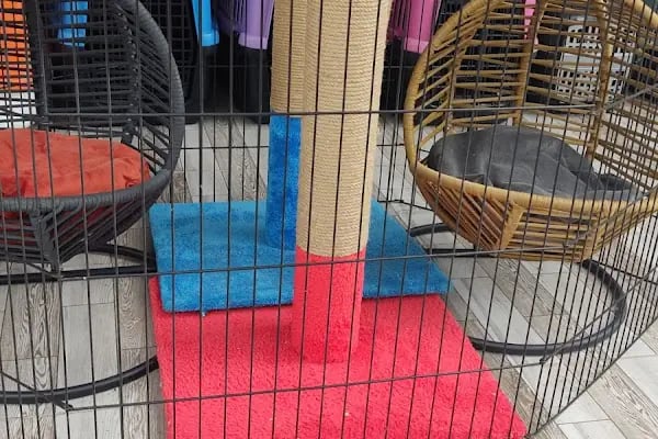 Eftelya Petshop - Resim 3