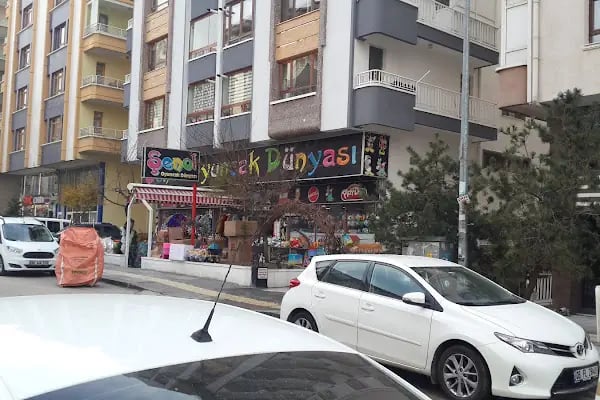 Şenol Oyuncak - Resim 7