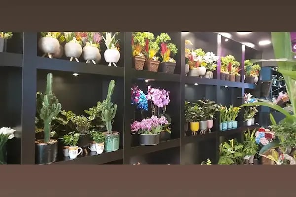Balıkesir Çiçek Galerisi - Resim 9
