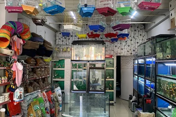 YabaDabaDuu Petshop - Resim 7
