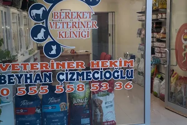 Bereket Veteriner Muayenehanesi - Resim 2