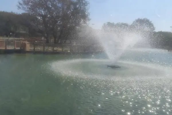 Çerkezköy Kent Ormanı - Resim 20