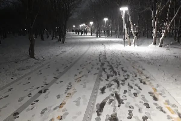 Çerkezköy Kent Ormanı - Resim 15