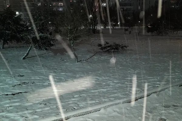 Çerkezköy Kent Ormanı - Resim 18