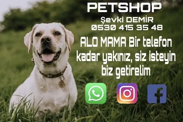 Halikarnas Petshop - Resim 12