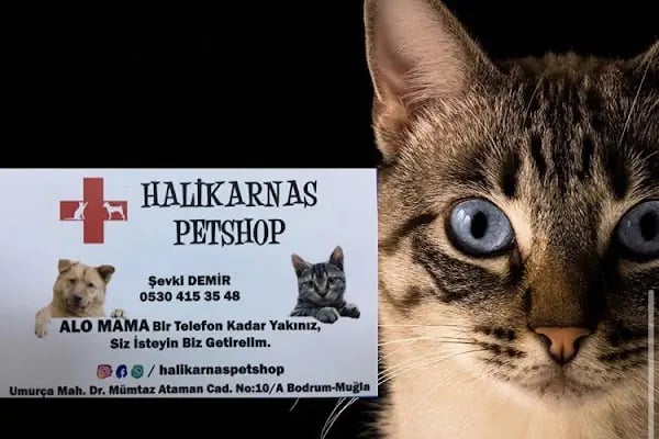 Halikarnas Petshop - Resim 9