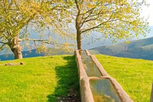Doktorlar Sitesi Çamlık Evleri - Resim 3