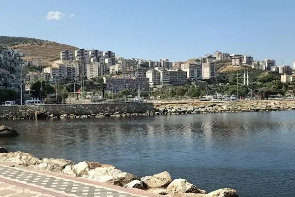 Doktorlar Sitesi Çamlık Evleri - Resim 9