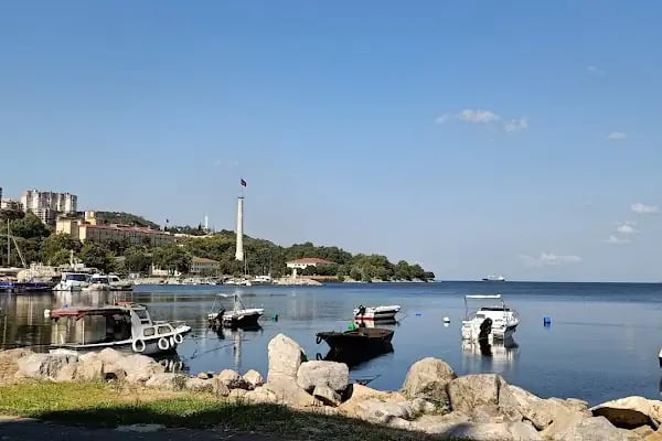 Doktorlar Sitesi Çamlık Evleri - Resim 7