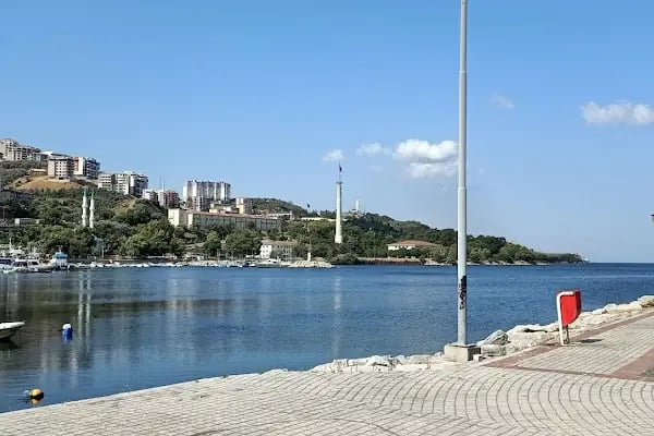 Doktorlar Sitesi Çamlık Evleri - Resim 4