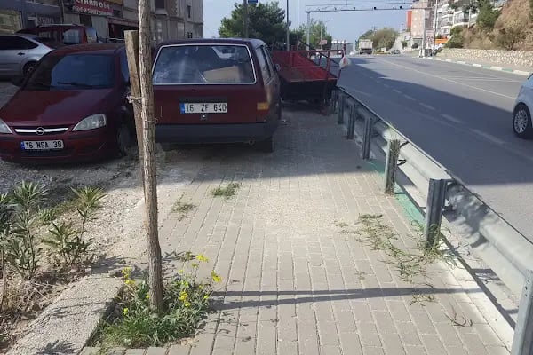 Doktorlar Sitesi Çamlık Evleri - Resim 11
