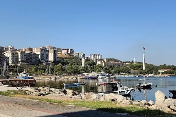 Doktorlar Sitesi Çamlık Evleri - Resim 2
