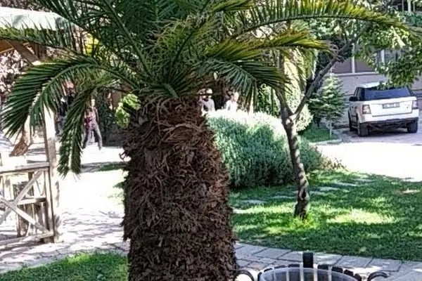 İSTANBUL GELİŞİM ÜNİVERSİTESİ - MİMARLIK VE MÜHENDİSLİK FAKÜLTESİ - Resim 11