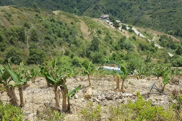 Club Paradiso Hotel &amp; Resort - Resim 3