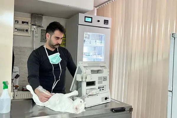 Kartepe Veteriner Kliniği - Resim 6