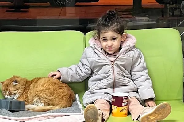Kartepe Veteriner Kliniği - Resim 5