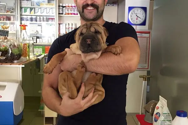 Kartepe Veteriner Kliniği - Resim 7