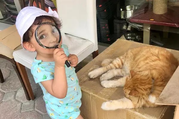 Kartepe Veteriner Kliniği - Resim 11