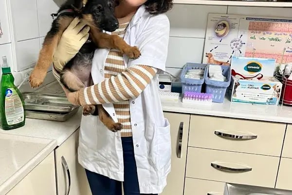 Kartepe Veteriner Kliniği - Resim 15