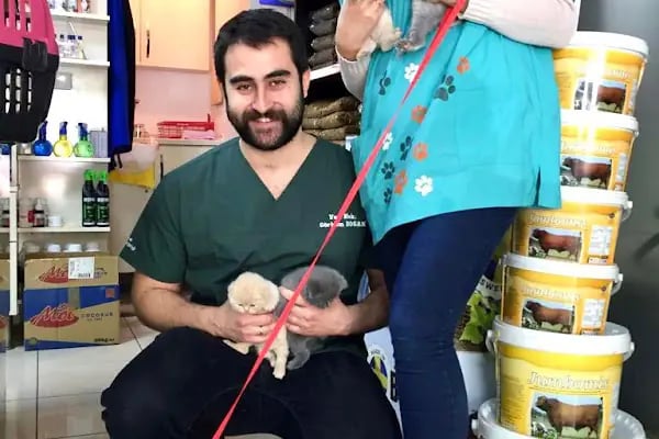 Kartepe Veteriner Kliniği - Resim 14