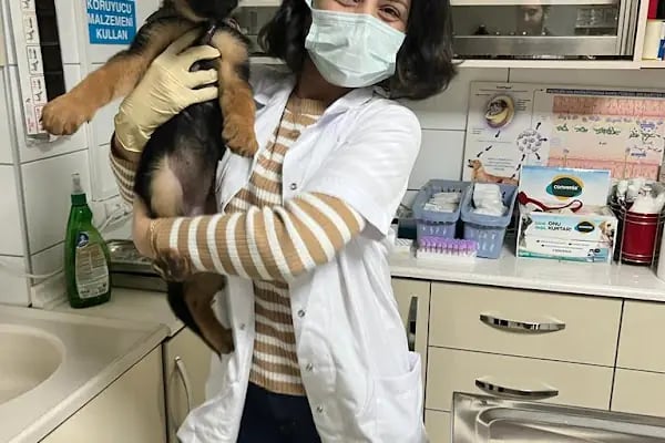 Kartepe Veteriner Kliniği - Resim 20