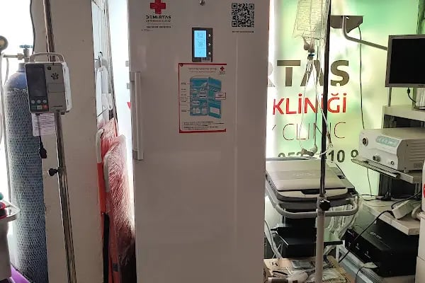 Vestel Çankaya Balgat Yetkili Satış Mağazası - Bülent Özcan - Resim 2