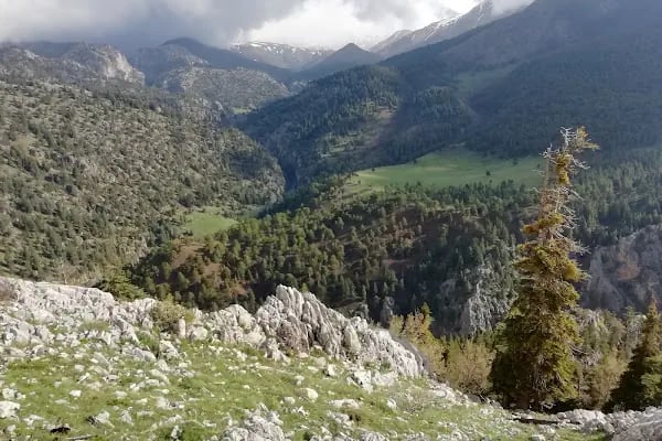 Büyüksofulu - Resim 3