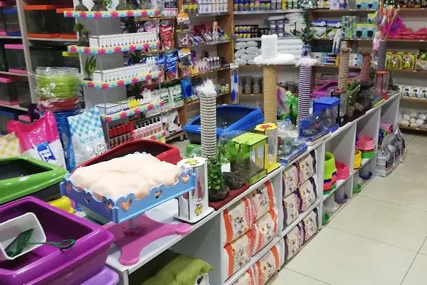Akvaryum park Pet Shop ve kuş galerisi - Resim 19
