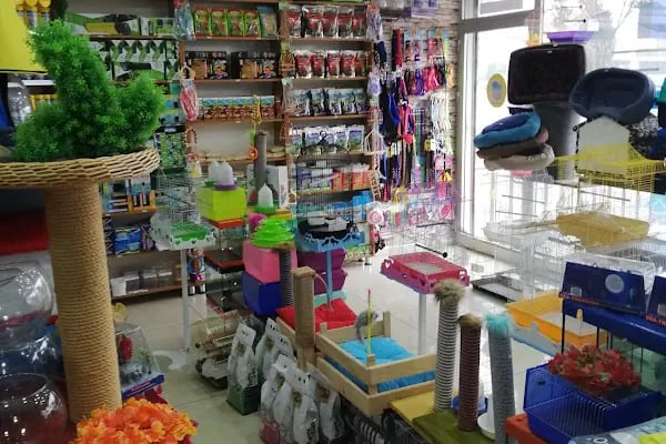 Akvaryum park Pet Shop ve kuş galerisi - Resim 3