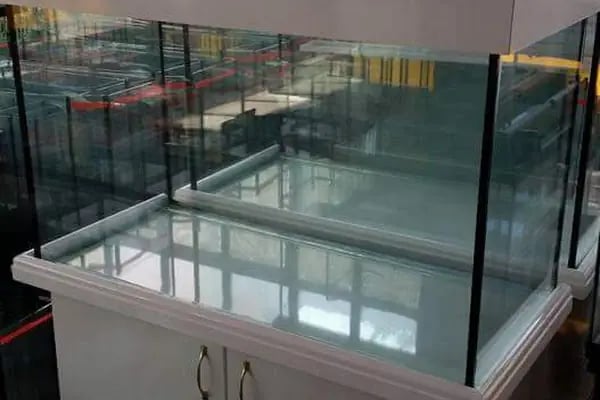 Akvaryum park Pet Shop ve kuş galerisi - Resim 17