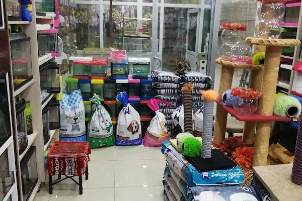 Akvaryum park Pet Shop ve kuş galerisi - Resim 9