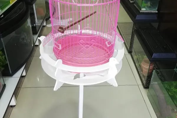 Akvaryum park Pet Shop ve kuş galerisi - Resim 11
