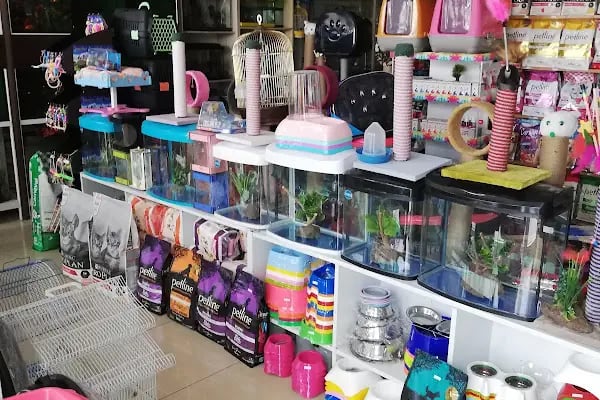 Akvaryum park Pet Shop ve kuş galerisi - Resim 16