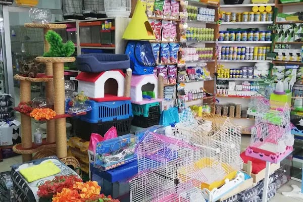 Akvaryum park Pet Shop ve kuş galerisi - Resim 13