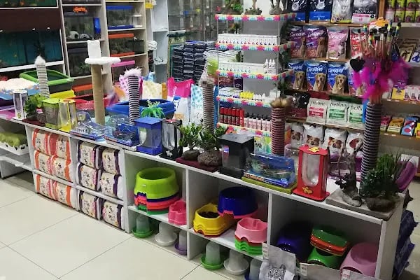 Akvaryum park Pet Shop ve kuş galerisi - Resim 6