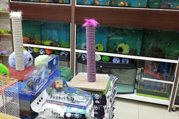Akvaryum park Pet Shop ve kuş galerisi - Resim 8