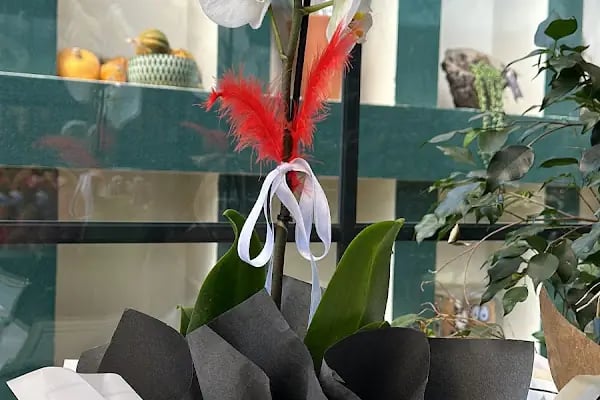Lilyum flower and chocolate - Çerkezköy - Resim 3