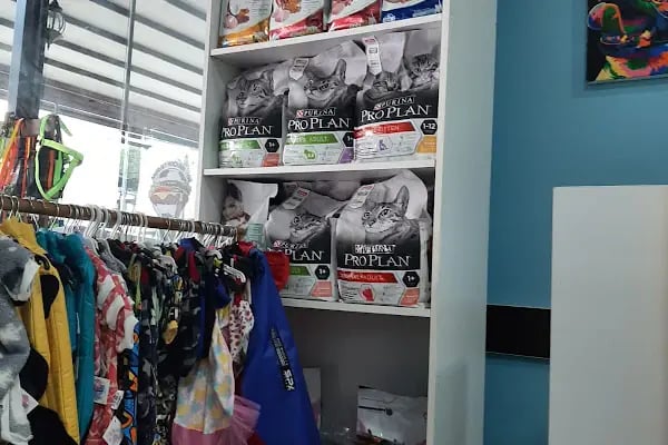 Yaşam Veteriner Kliniği Bergama - Resim 3