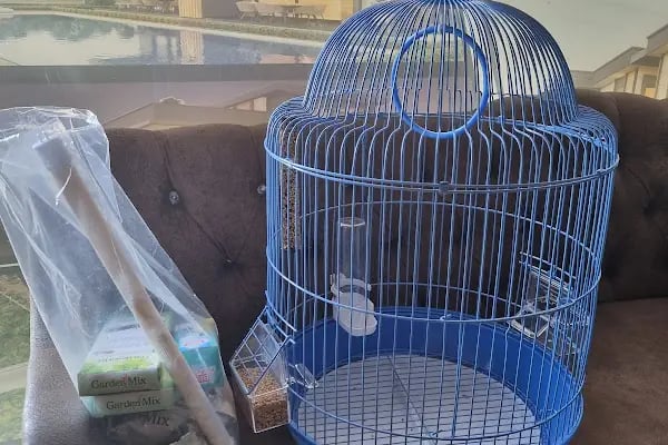 Evcilal Pet Shop - Resim 8