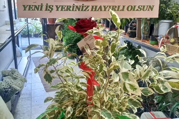 Çiçekçi Cuma - Resim 13