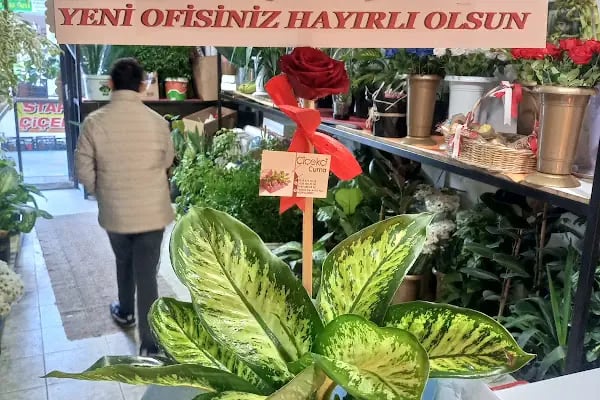 Çiçekçi Cuma - Resim 6