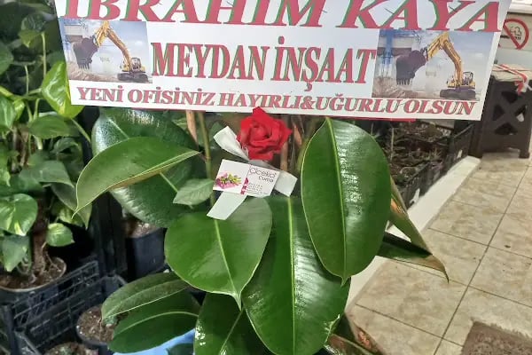 Çiçekçi Cuma - Resim 7