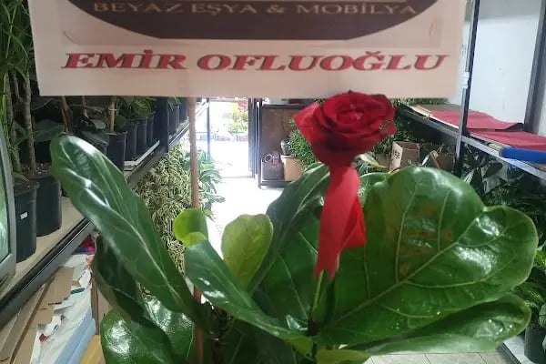 Çiçekçi Cuma - Resim 18
