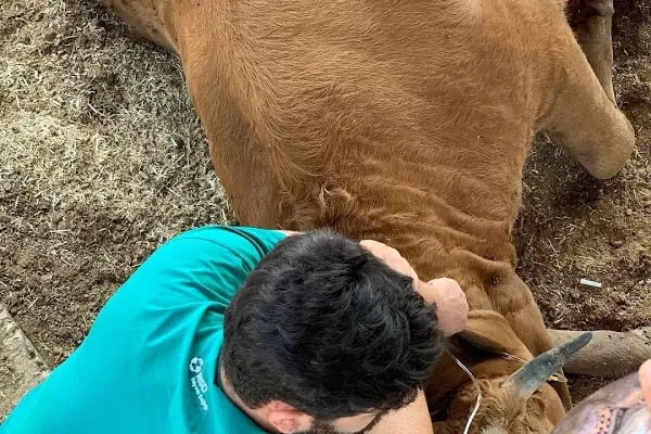 Nizip Veteriner Kliniği - Resim 12